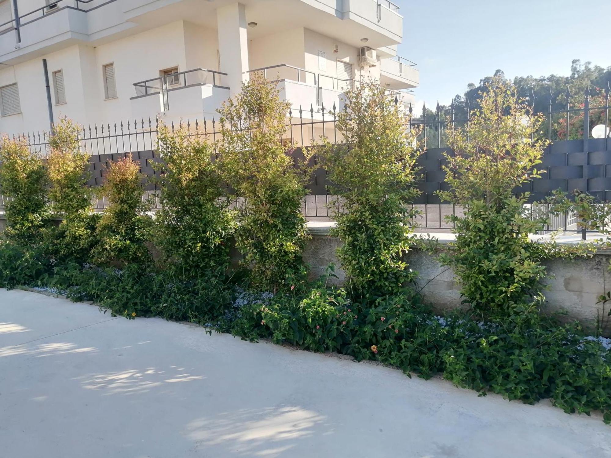 Holiday home Mare Azzurro Balestrate